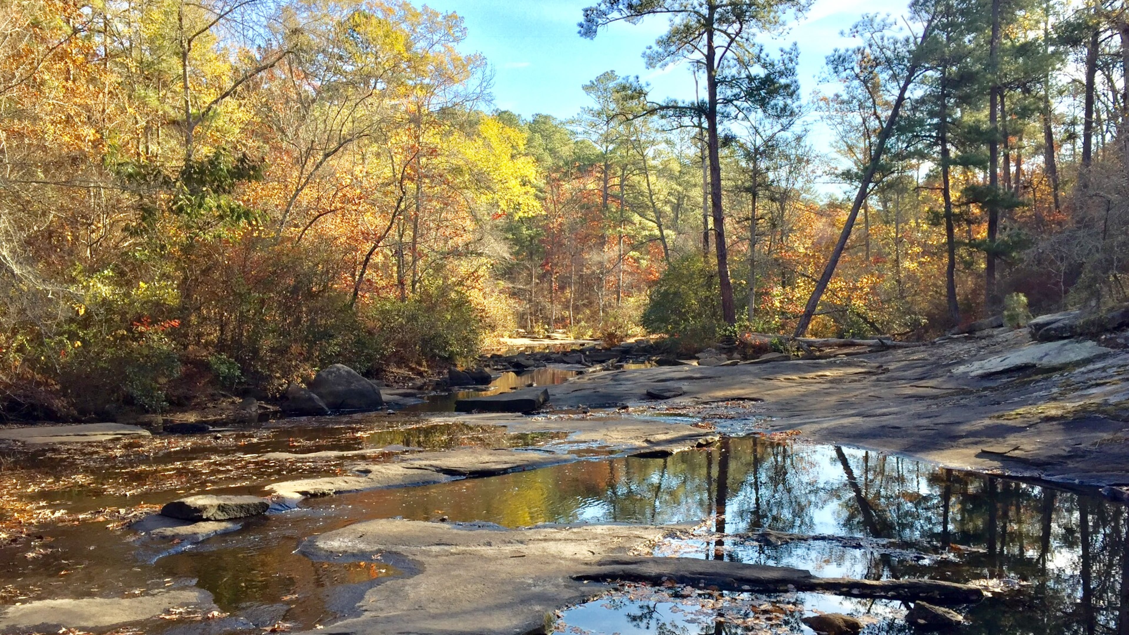 Peachtree City’s Line Creek Nature Area, a 70-acre preserve featuring wooded trails, a creek, fishing spots and dramatic rock outcroppings, is included in the new guidebook "Hiking Metro Atlanta’s Hidden Forests: An Hour or Less from Downtown." (Courtesy of Southern Conservation Trust)