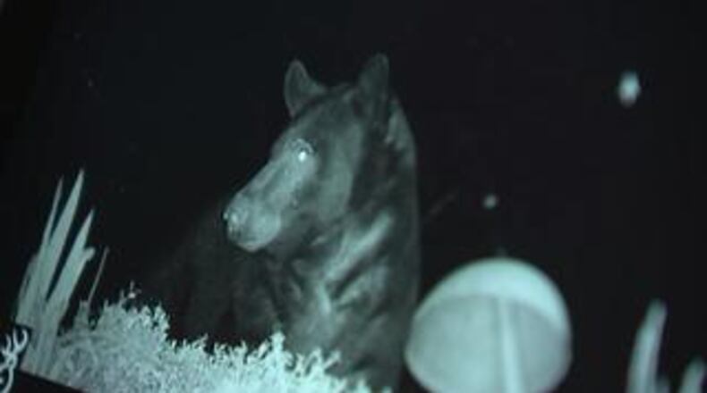 A homeowner near Lake Lanier photographed a black bear that wanted food from a bird feeder. (Credit: Channel 2 Action News)