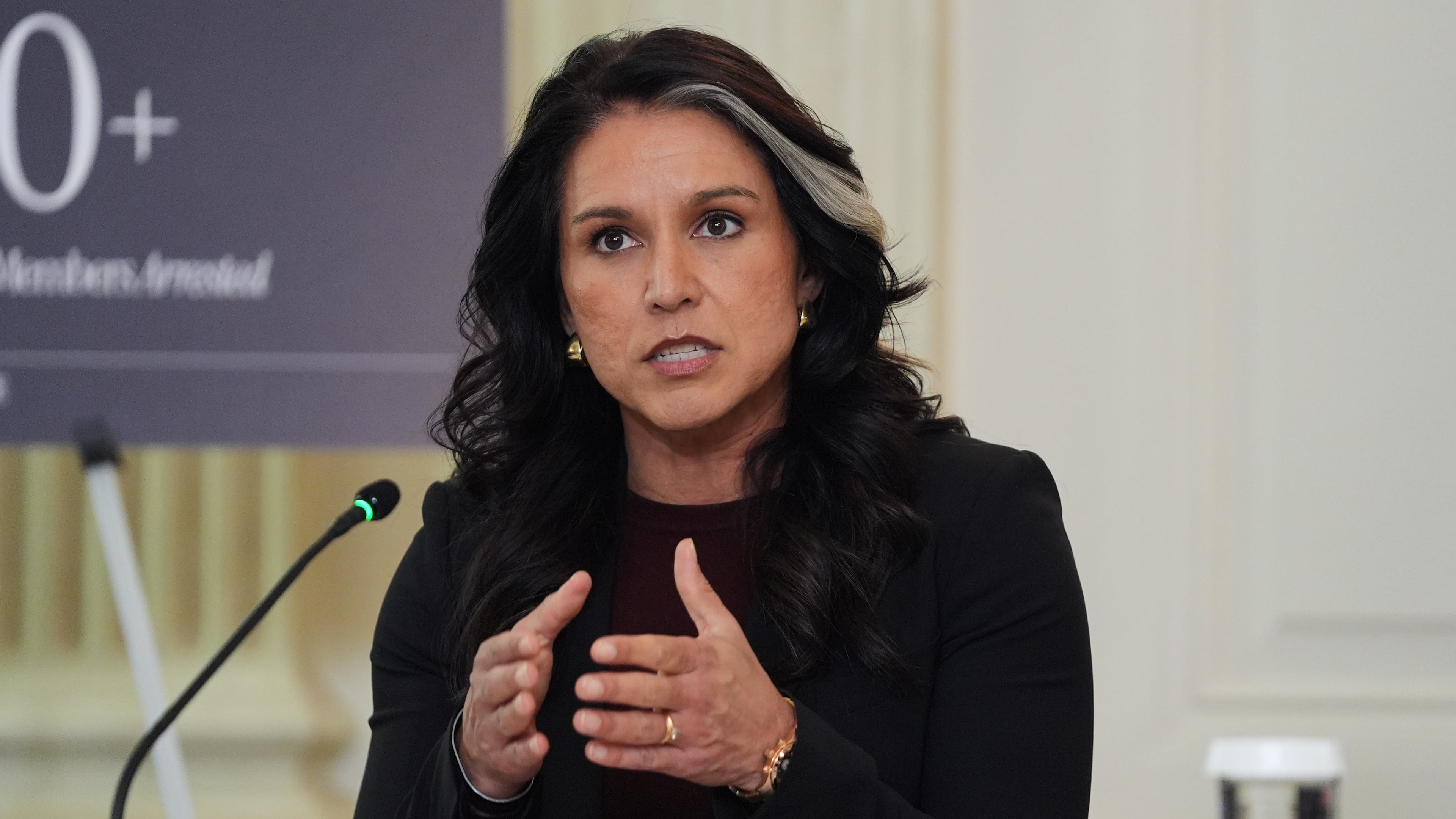 Director of National Intelligence Tulsi Gabbard speaks during a roundtable on criminal cartels with President Donald Trump in the State Dining Room of the White House, Thursday, Oct. 23, 2025, in Washington. (AP Photo/Evan Vucci)