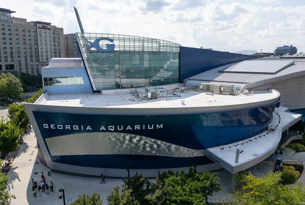 The Georgia Aquarium in Atlanta is the largest aquarium in the Western Hemisphere. (Seeger Gray/AJC 2025)
