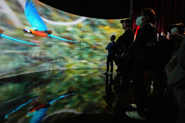 People visit Peru's pavilion during the Expo 2025 in Osaka, western Japan, Tuesday, April 15, 2025. (AP Photo/Hiro Komae)