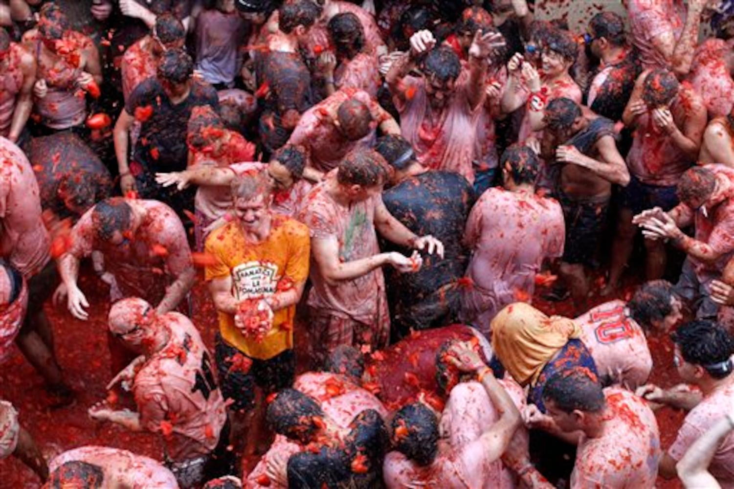 Tomatina 2013