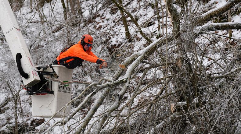 Austin Bradbury uses a chainsaw to remove a tree above a road Friday, Jan. 30, 2026, in Nashville, Tenn. (AP Photo/George Walker IV)