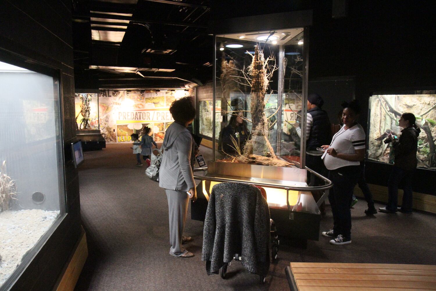 Zoo Atlanta opens new amphibian and reptile experience