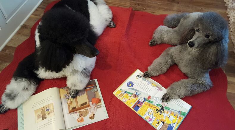 READing Paws is comprised of a registered therapy animal and owner/handler whose mission is to improve the literacy skills of children. Shown are Logan (L) is and Katie (R). They have been READing Paws Dogs since 2015. They READ exclusively with students who have special needs.