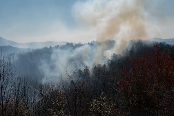FILE - Smoke rise from the Black Cove Fire, March 26, 2025, in Saluda, N.C. (AP Photo/Allison Joyce, File)