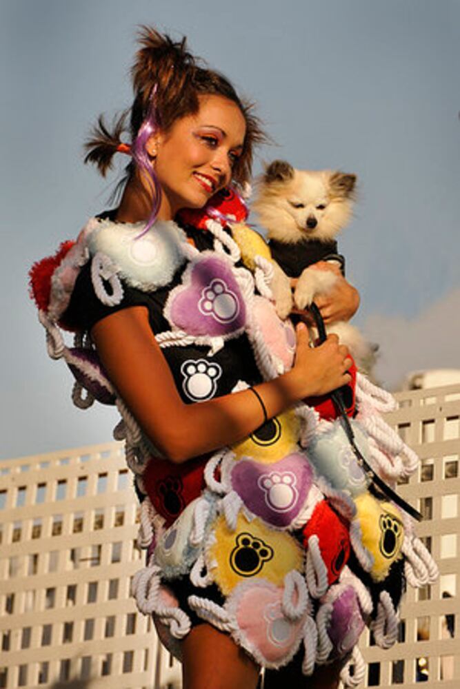 World's ugliest dogs, 2009 edition