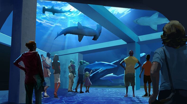 The Georgia Aquarium Expansion 2020 will include a shark gallery, an entrance that extends onto the plaza and increased animal interactions.