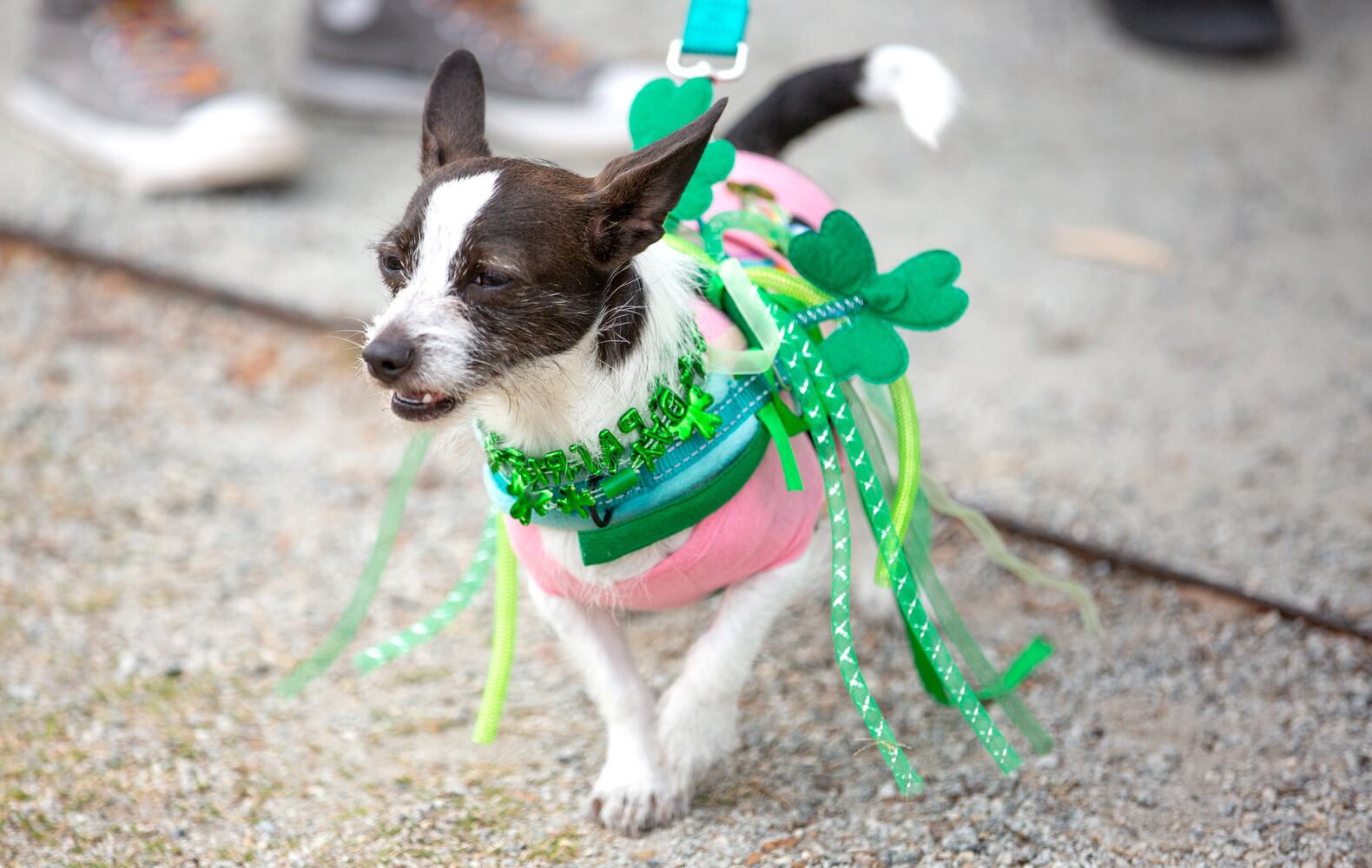 St. Patrick's Day parade in Lilburn