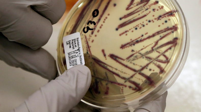 FILE - A microbiologist points out an isolated E. coli growth on an agar plate at the Washington State Department of Health, Nov. 3, 2015, in Shoreline, Wash. (AP Photo/Elaine Thompson, File)