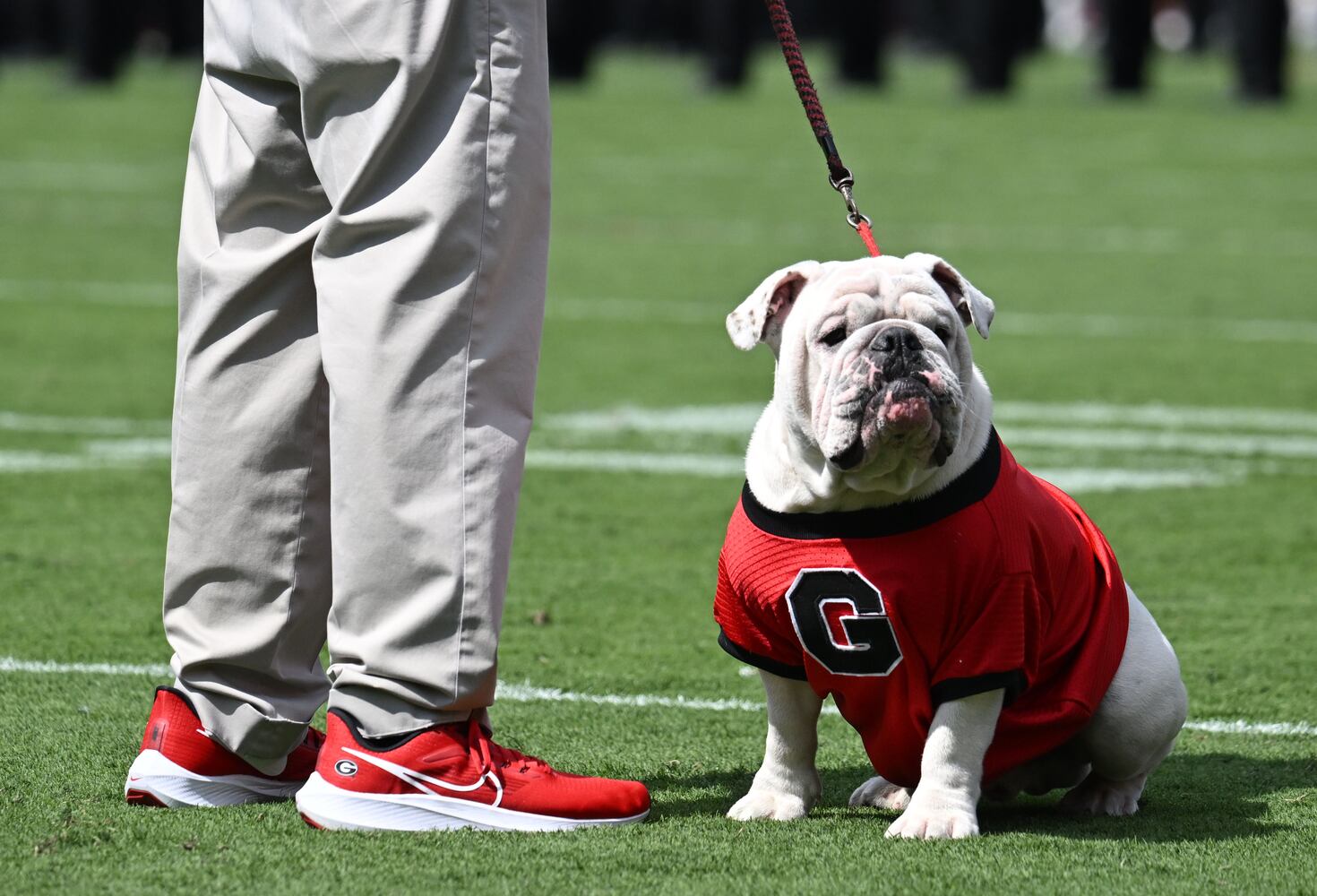 Georgia vs. Ball State