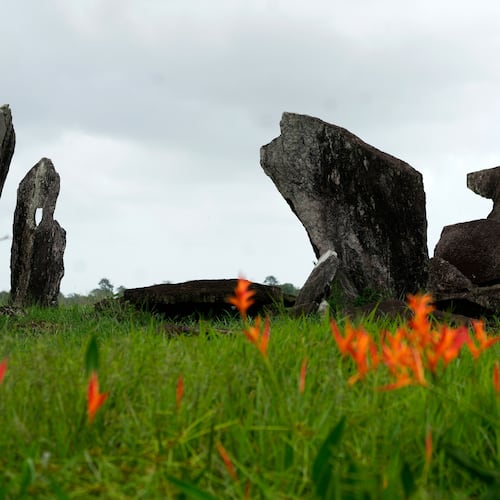 Grass and flowers surround the Archaeological Park of the Solstice, which some call the "Stonehenge of the Amazon" in Calcoene, Amapa state, Brazil, Friday, March 13, 2026. (AP Photo/Eraldo Peres)