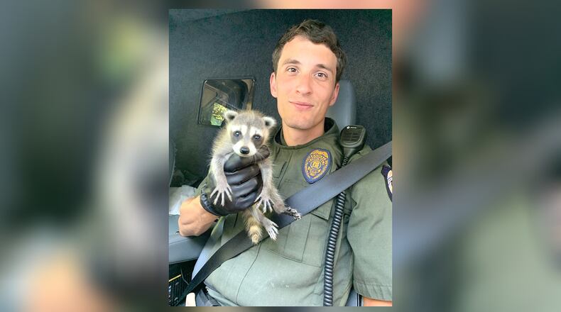 Officer Seed with Cobb County Animal Services rescued an orphaned raccoon this week.