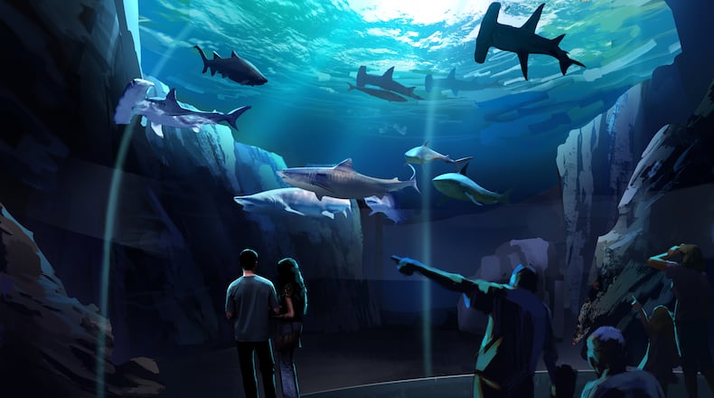 This is a rendering of what the new shark exhibit at the Georgia Aquarium will look like when completed. CONTRIBUTED