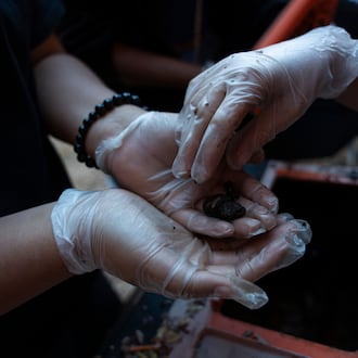 Seventh graders Addelynn Covingtree, Yadajah Gresham and Elissa Ramirez create compost for their Marietta Middle School garden as part of the Compost Connectors program on Monday, Nov. 17, 2025. (Olivia Bowdoin for the AJC)