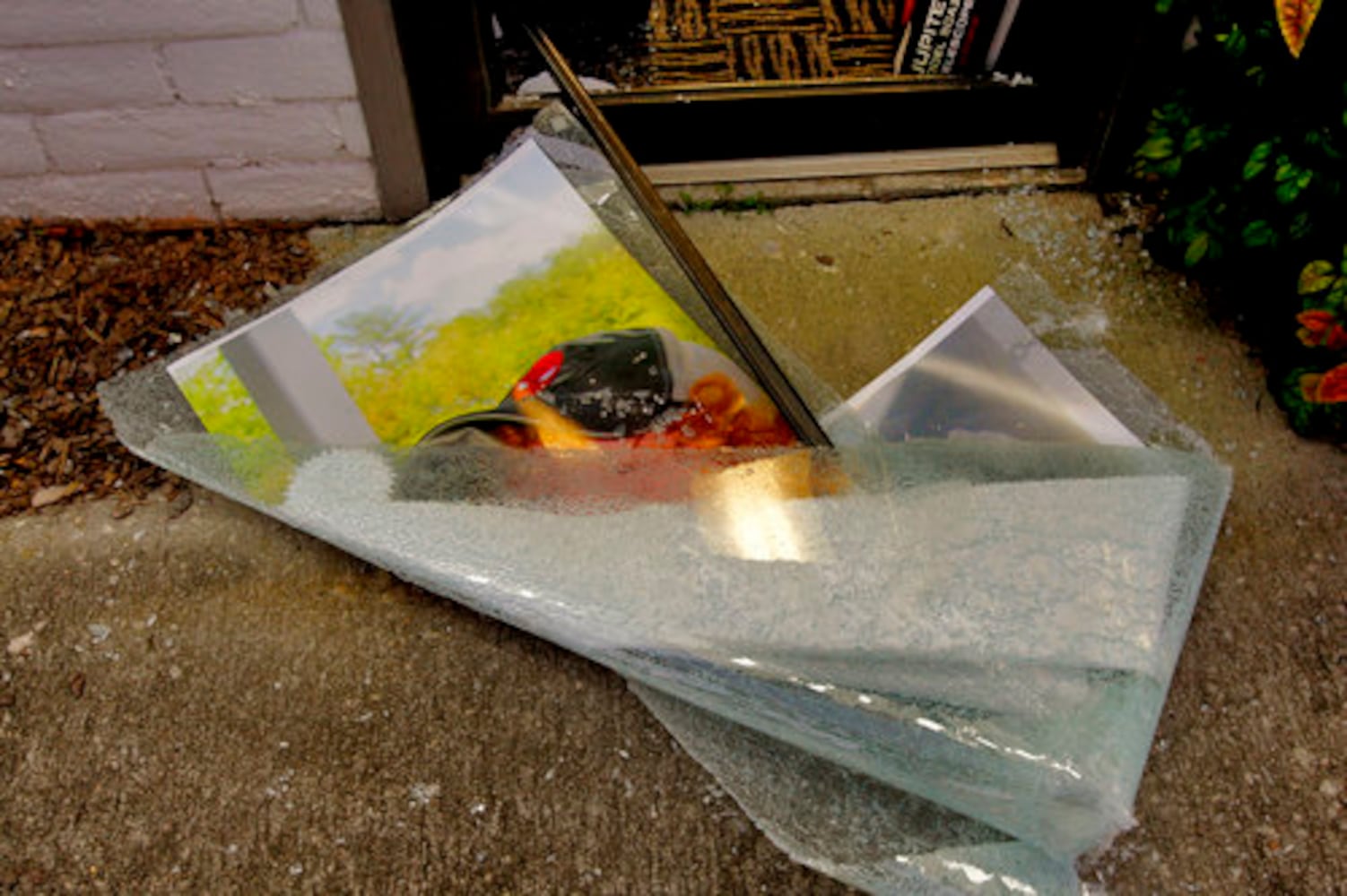 Smash-and-grab at Wolf Camera