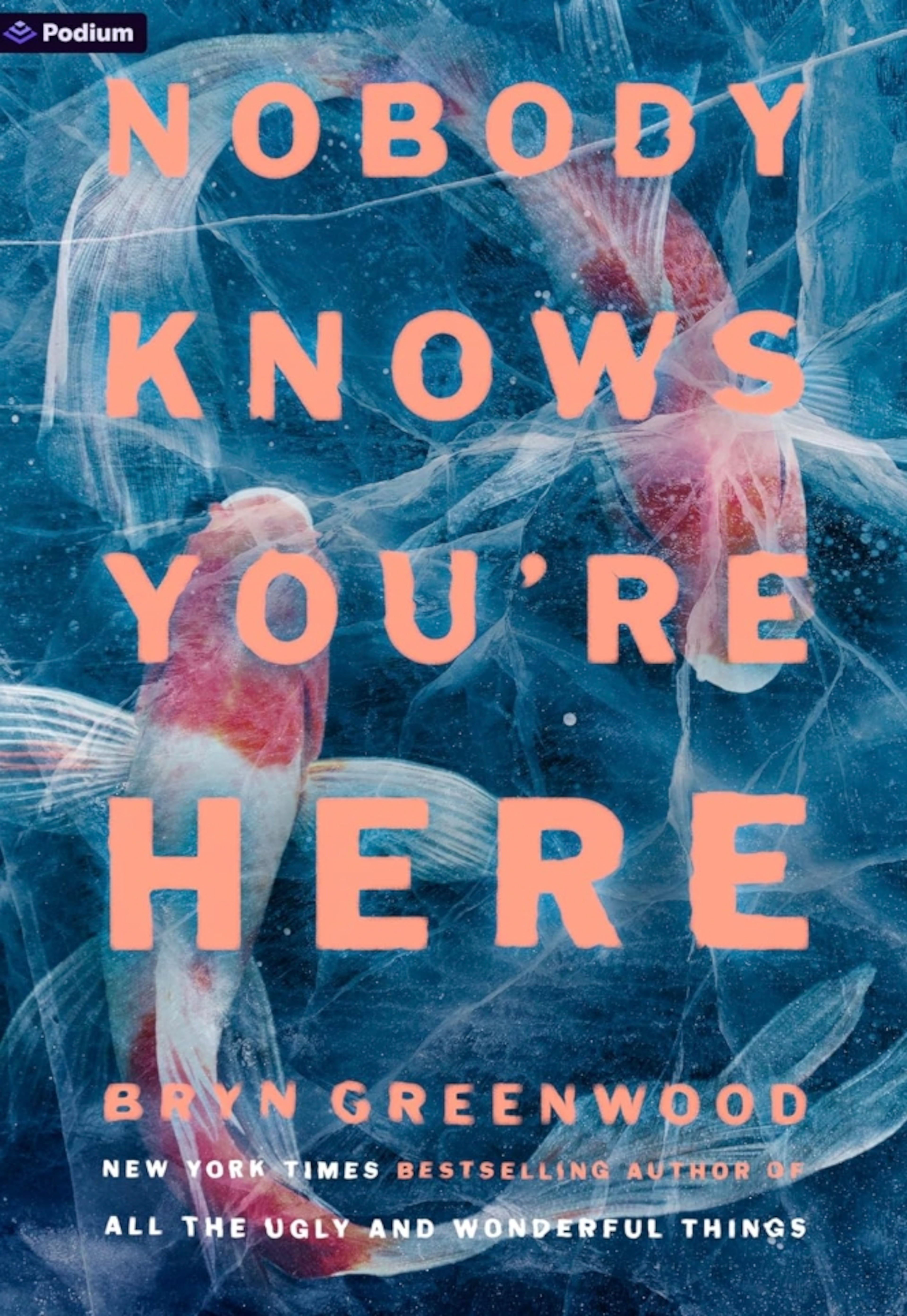 Brian Panowich says “Nobody Knows You're Here” by Bryn Greenwood “will live rent-free in my dreams for a long time to come.” (Courtesy of Podium Publishing)