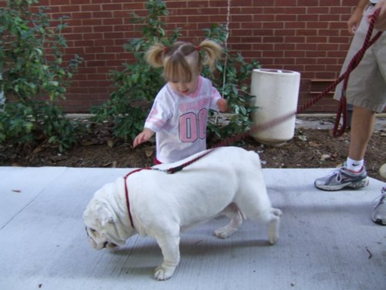 Fans pictures of Uga VI -- No. 2.