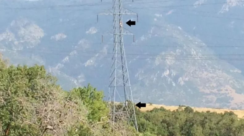 Weber County Sheriff’s Office took to social media after seeing an increase in people hammocking between the power lines on the bench of North Ogden and Pleasant View.