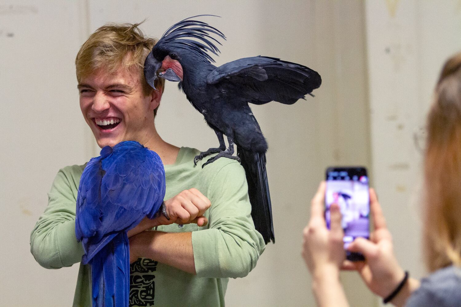 PHOTOS: SA Exotic birds