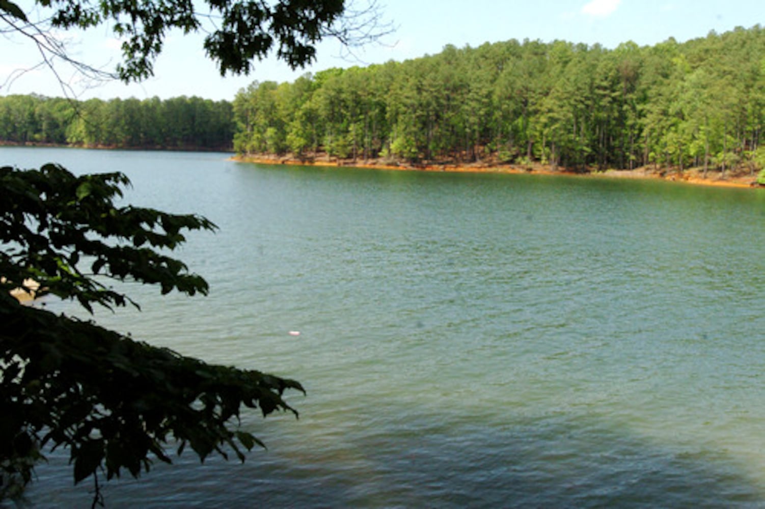 Teens drown in Lake Allatoona