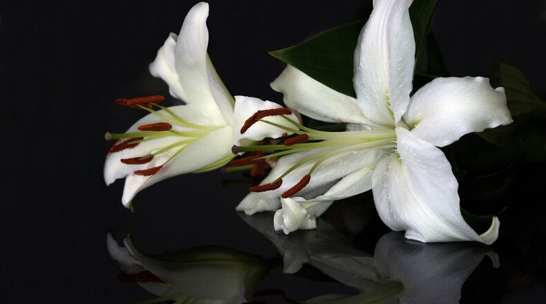 A Furman University sophomore died early Saturday at an off-campus event.