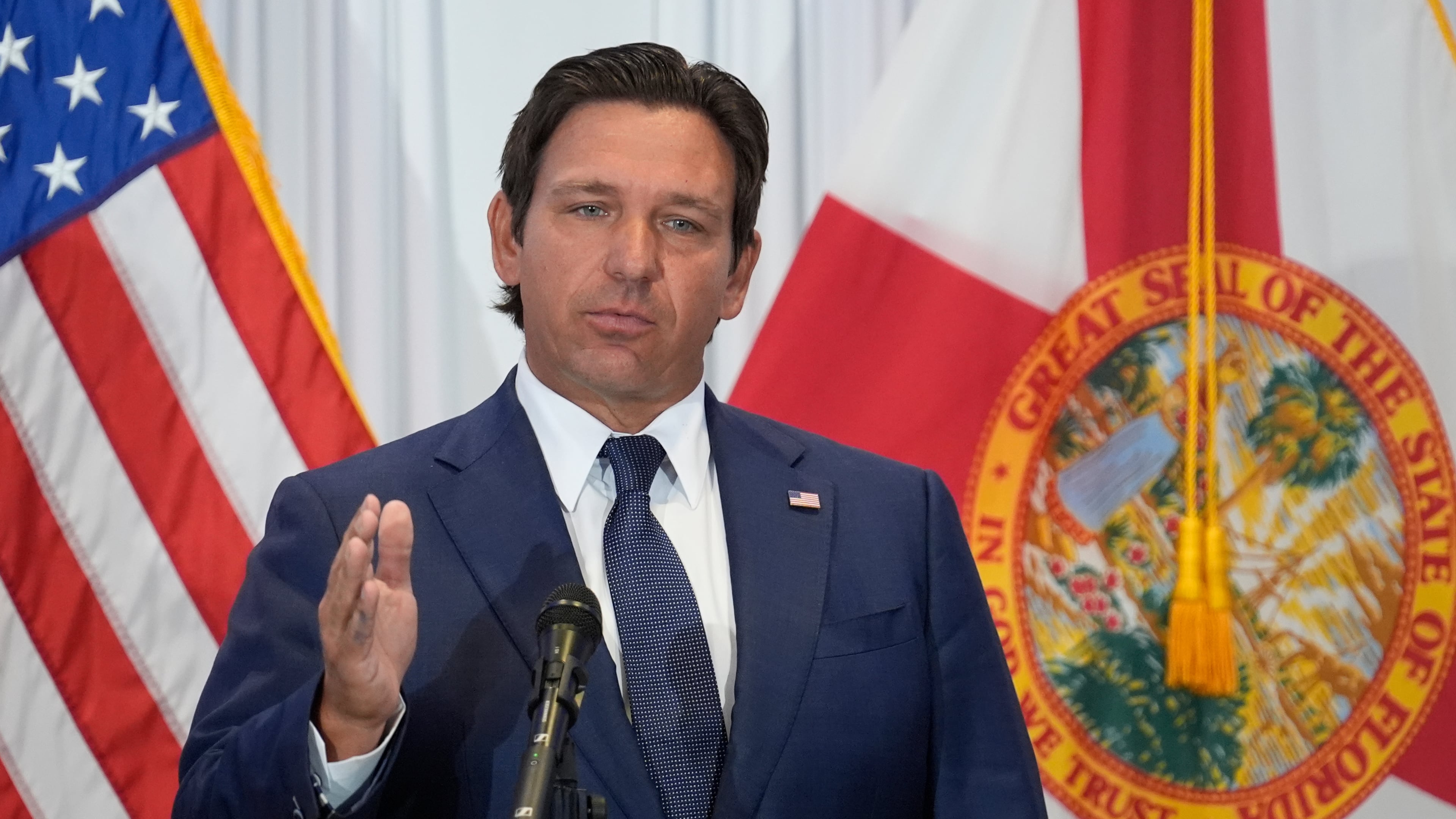 FILE - Florida Gov. Ron DeSantis speaks during a news conference Aug. 12, 2025, in Tampa, Fla. (AP Photo/Chris O'Meara, File)