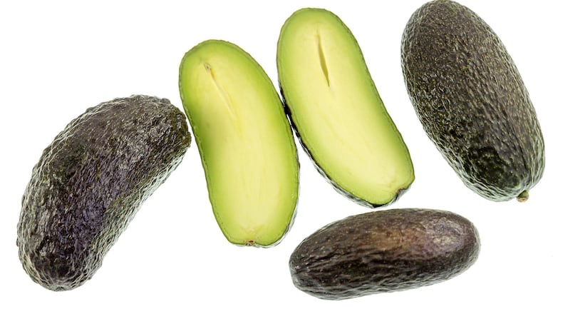 This seedless avocado can help you avoid a trip to the emergency room. (Antonio Ribeiro/Dreamstime/TNS)