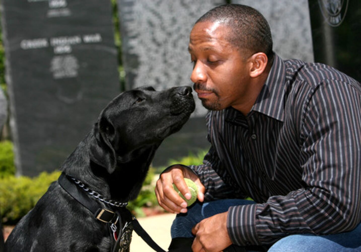 In tribute, an Army dog comes home