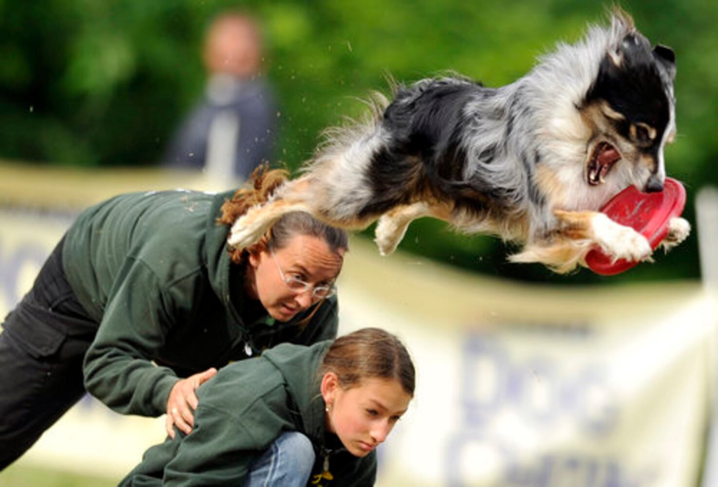 Dogs go for discs at the Skyhoundz Disc Dog Championship