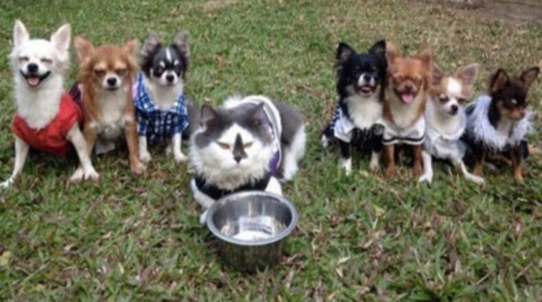 Photo credit: @yutafamily via Instagram