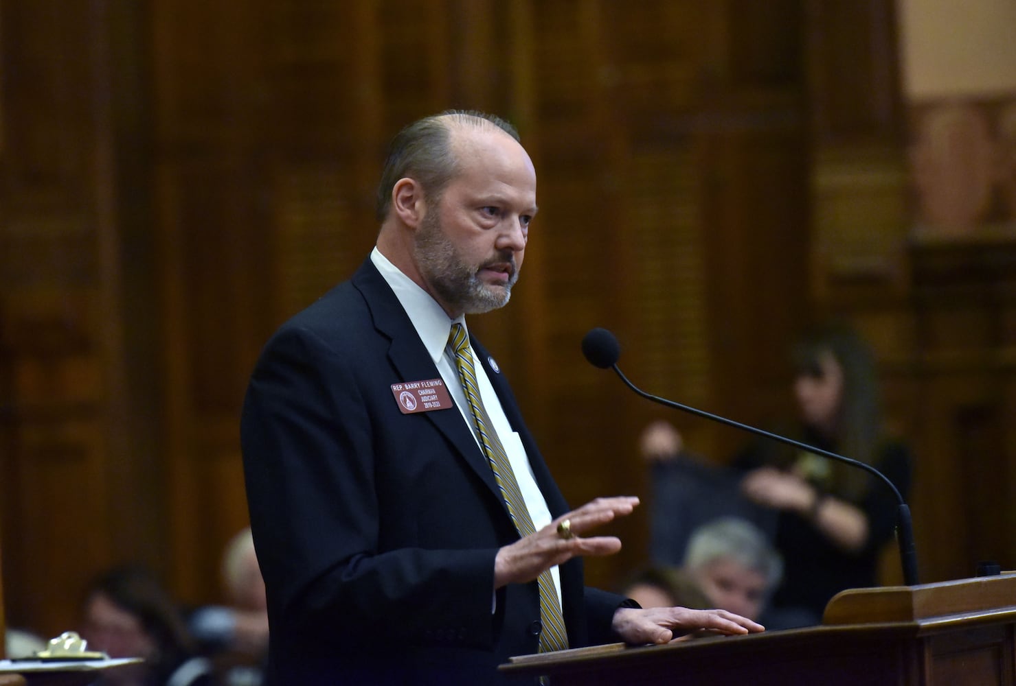 Photos: Crossover Day at the Georgia Legislature