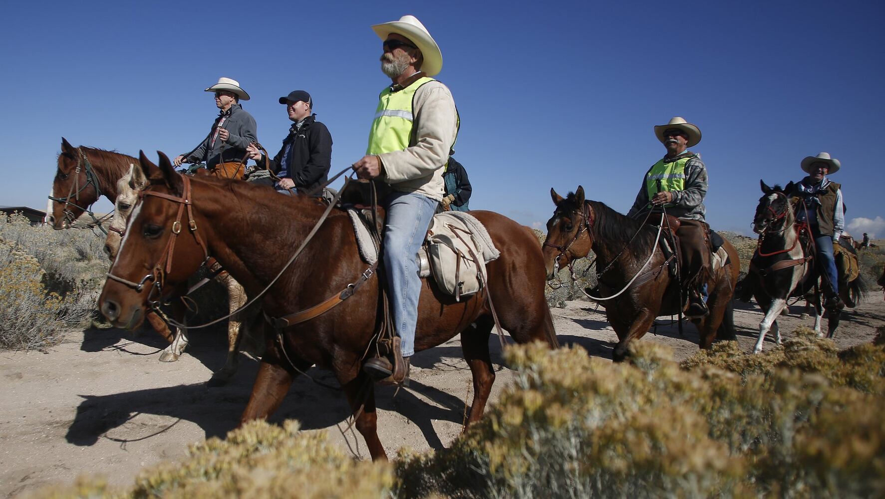 Wanted: Bison herders; tenderfoots welcome