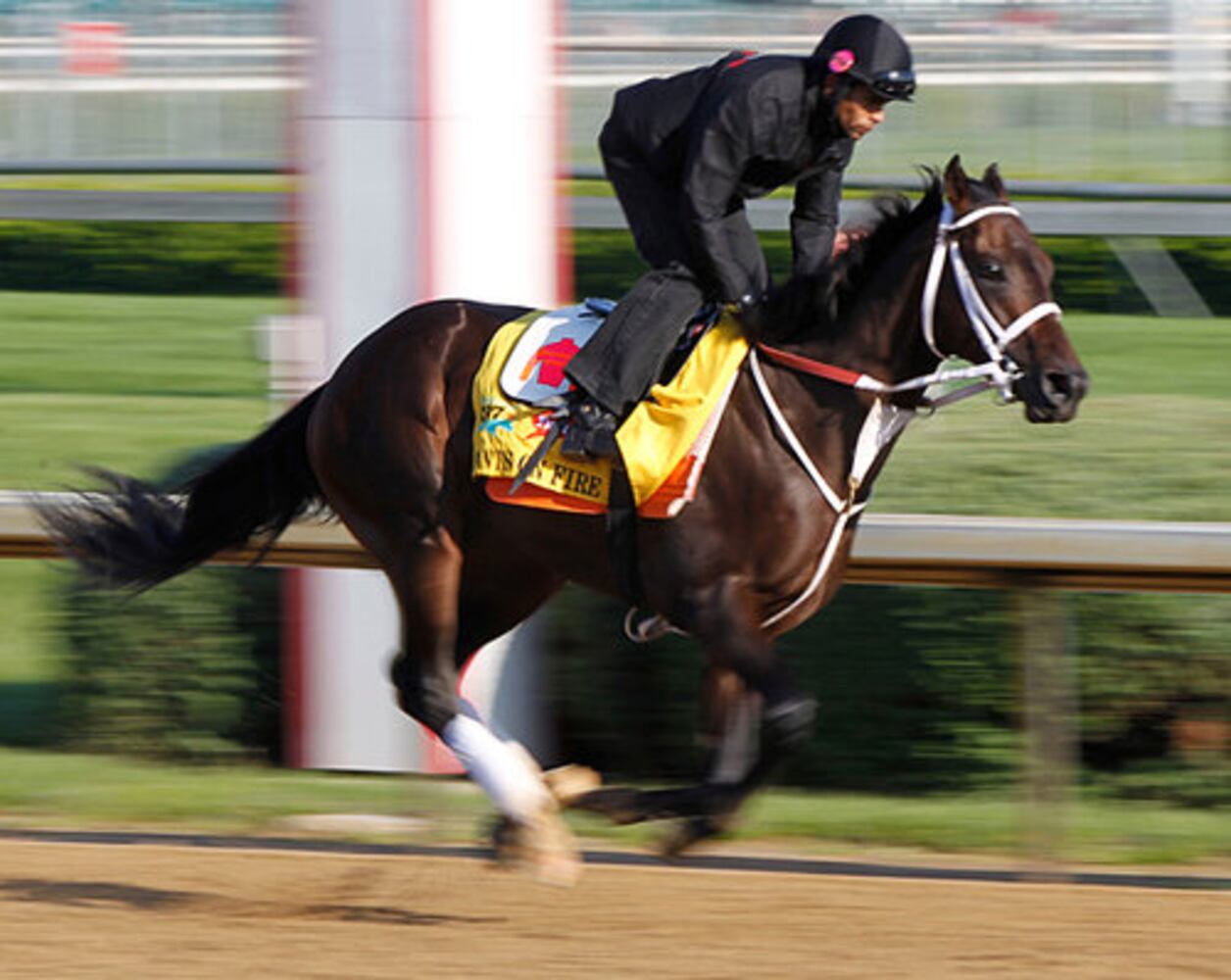 Kentucky Derby field 2011