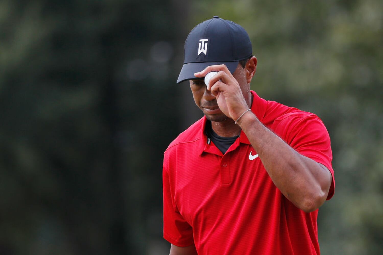 tiger woods wins tour championship