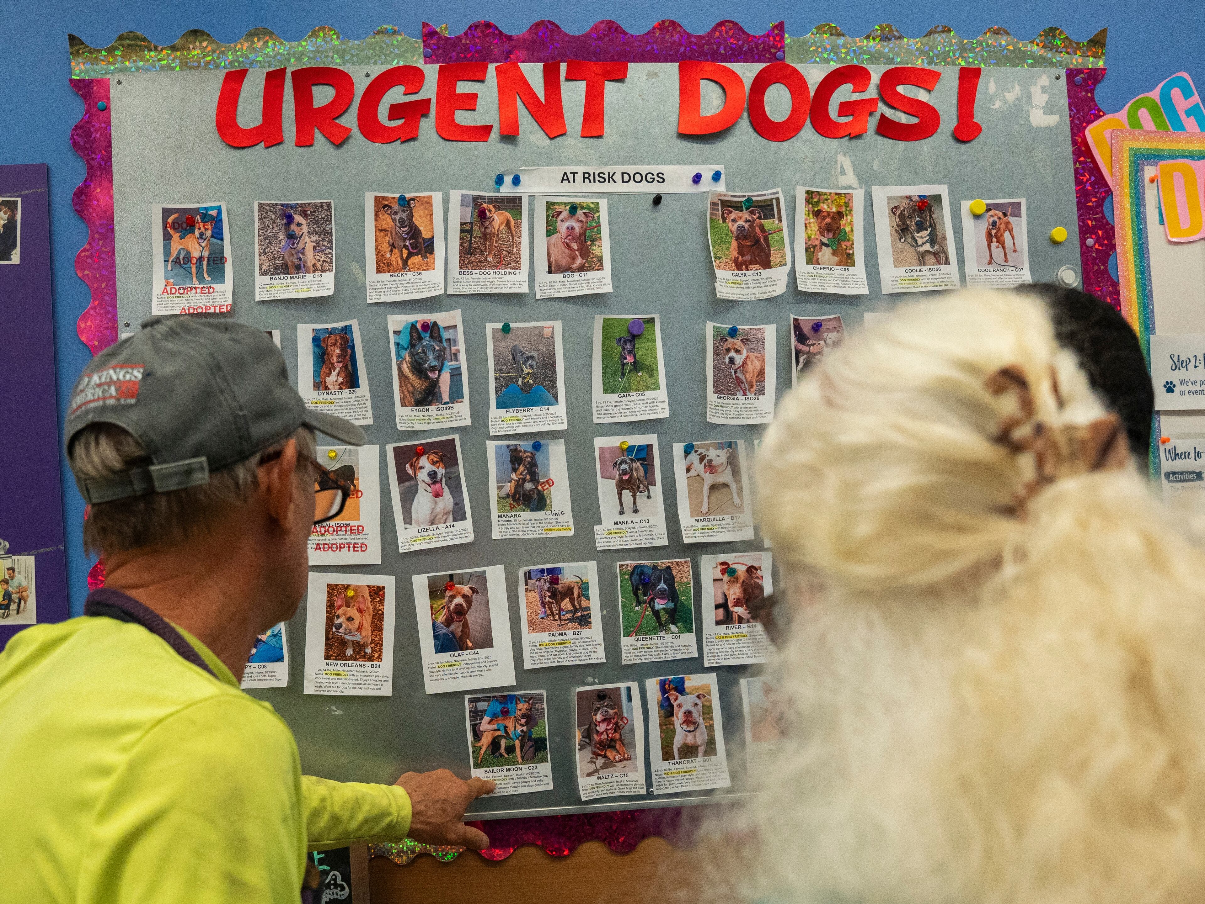 A volunteer shows visitors the dogs at risk for euthanization on a board at the DeKalb Animal Shelter in Chamblee, Georgia, on Tuesday, July 1, 2025. (Olivia Bowdoin for the AJC)