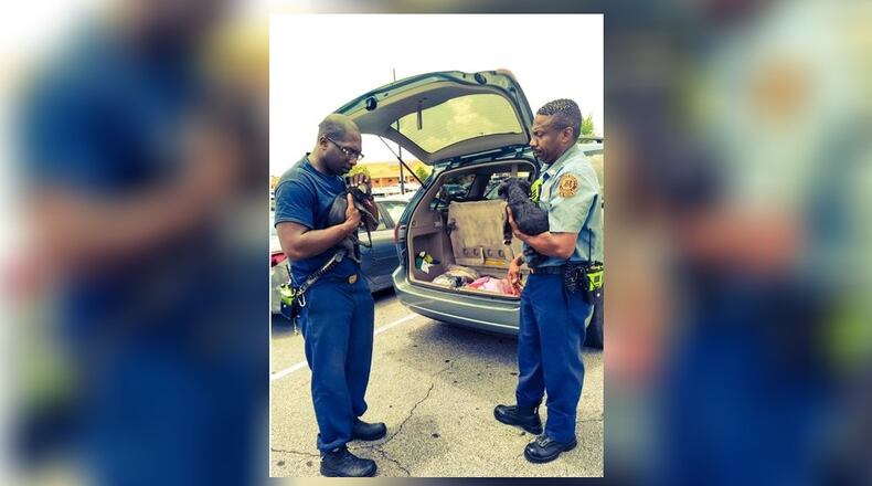 Crews were able to open the car and get the pups to safety.