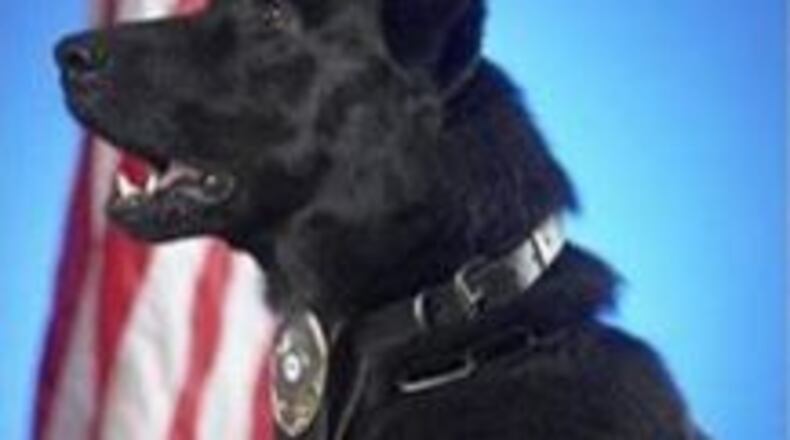 Doraville police K9 Tryko (Credit: Doraville police Facebook page)