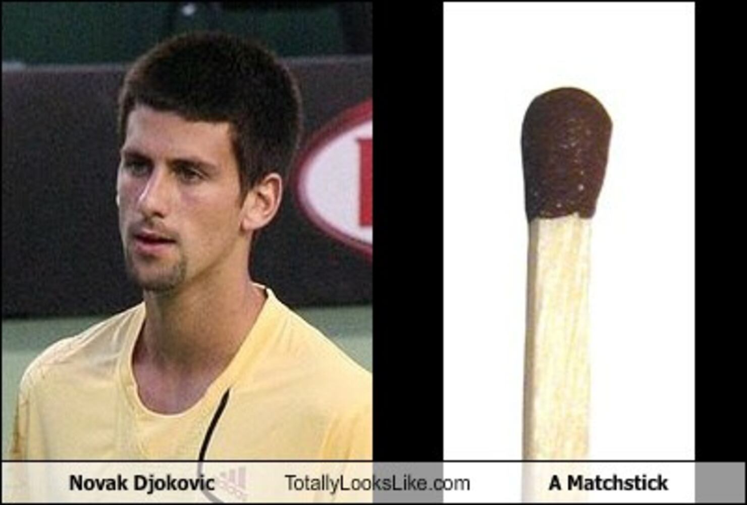 TotallyLooksLike.com