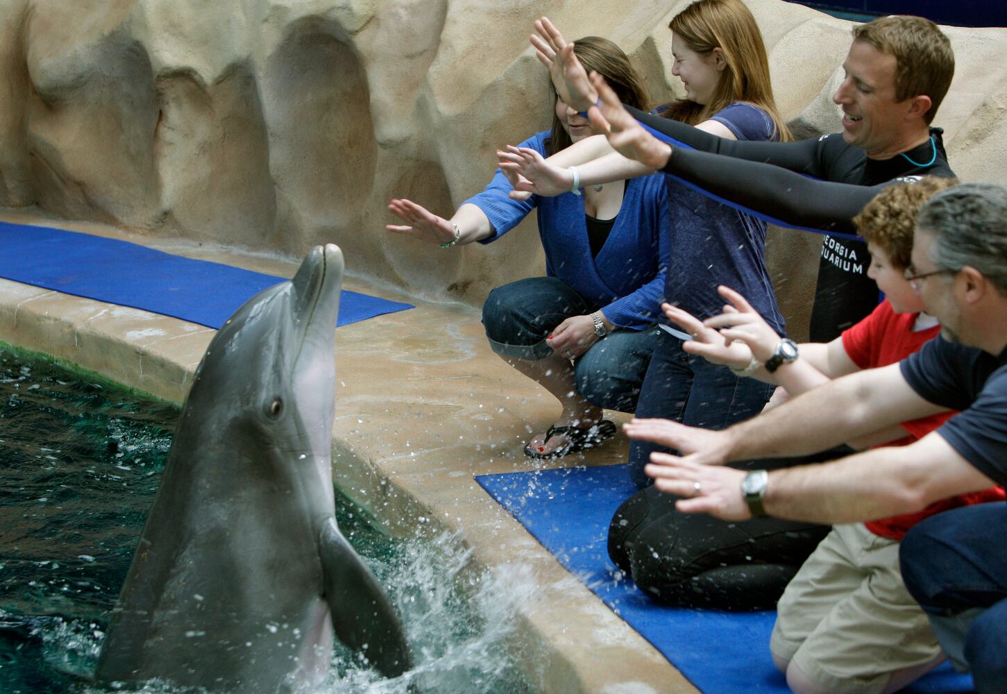 Atlanta animal encounters