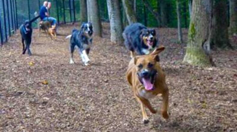 The dog park inside Sweat Mountain Park recently reopened, following a few weeks of renovation. (Courtesy of Cobb County)