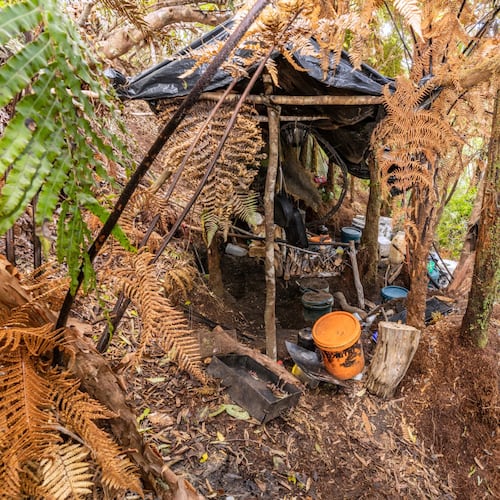 FILE - This photo released by the New Zealand Police on Sept 10, 2025, show the main campsite where Tom Phillips and his children were hiding in the bush near Waitomo, in the district of Waikato, New Zealand. (New Zealand Police via AP, FILE)