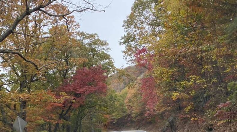 Milton recently approved a contract with Gracie Gray Contractors, Inc. for guardrail repair on the Clarity Road bridge over Little River. (Courtesy Gracie Gray Contractors)