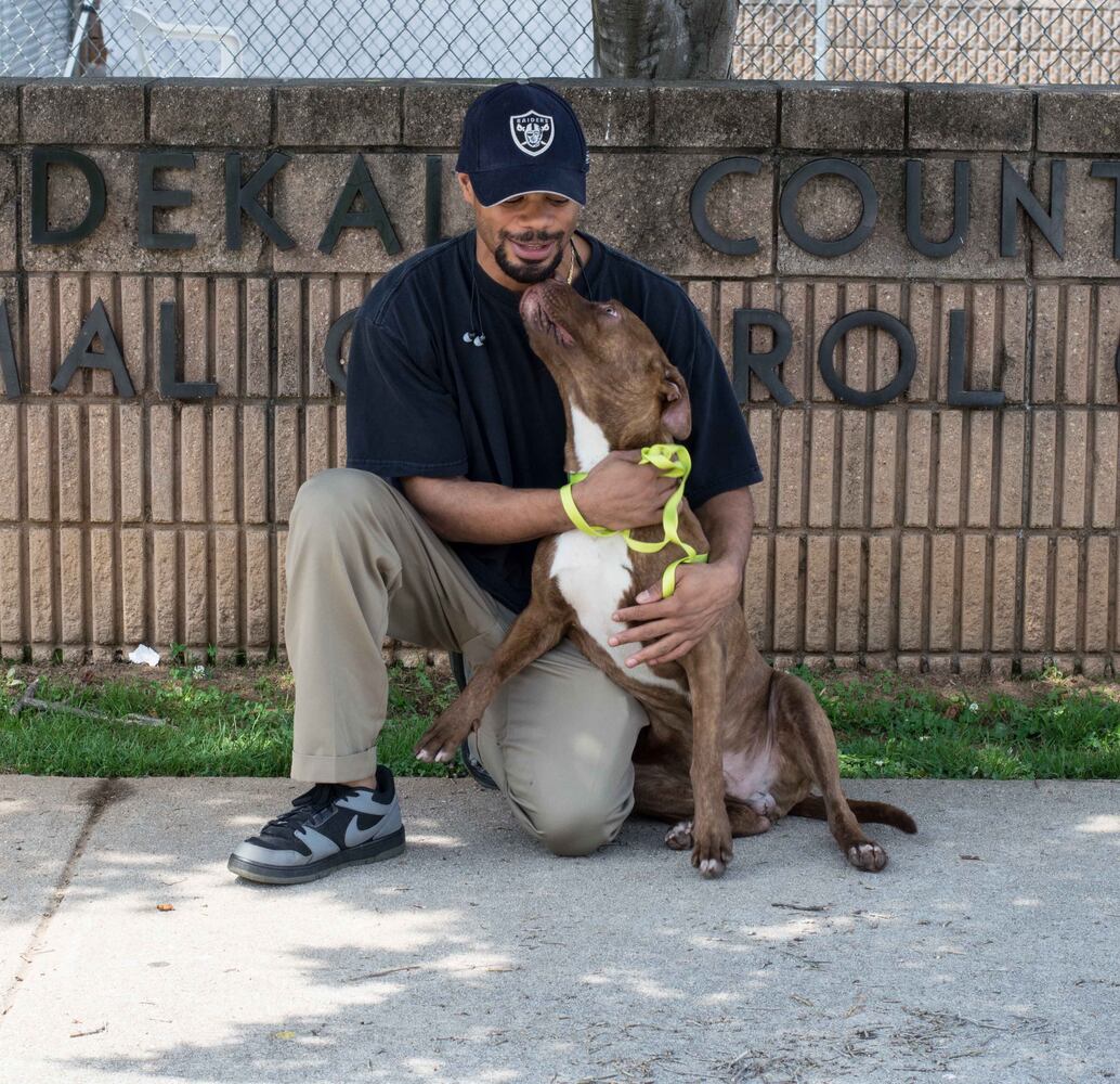 LifeLine animal shelters host free event to house 840 animals