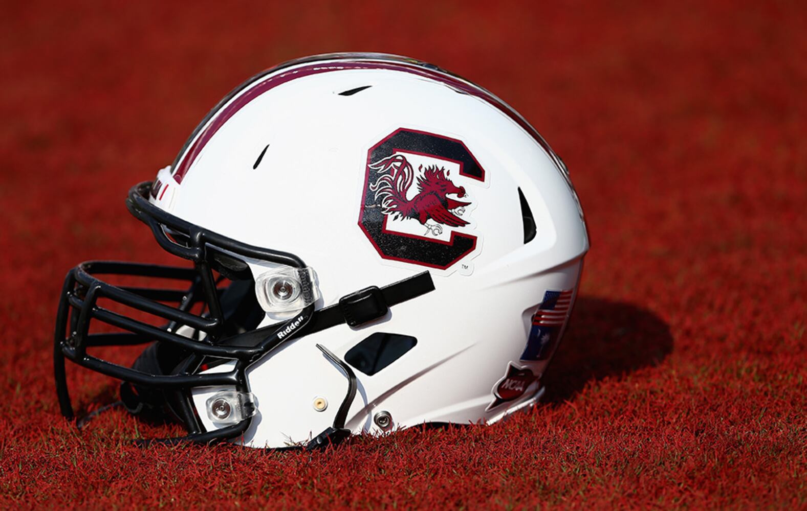 South Carolina Gamecocks