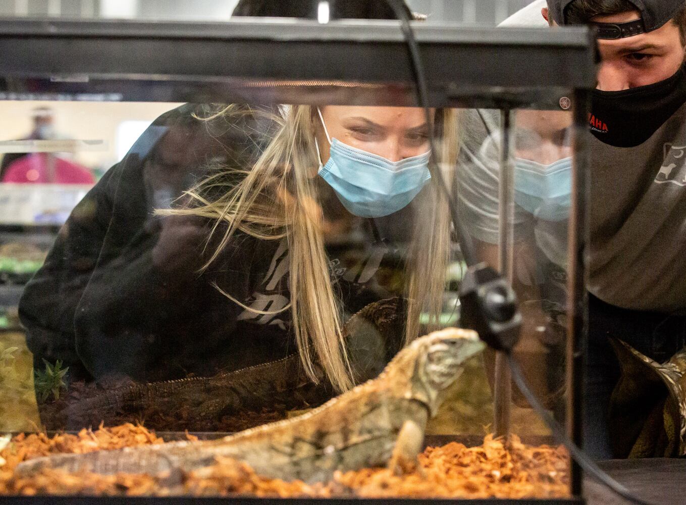 The reptile show Repticon Atlanta at the Gwinnett County Fairgrounds