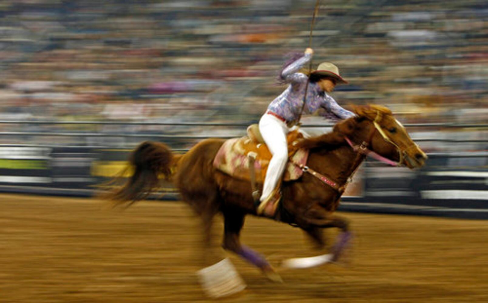 The Toughest Cowboy