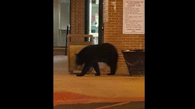 A bear was spotted at the Fulton County Jail.