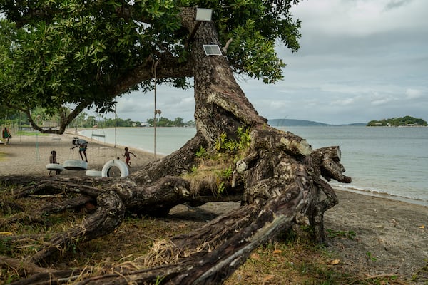 Children play on an uprooted tree along a beach in Mele, Vanuatu, that was once lined with vegetation, now largely lost to storms, erosion and other environmental pressures on Saturday, July 19, 2025. (AP Photo/Annika Hammerschlag)