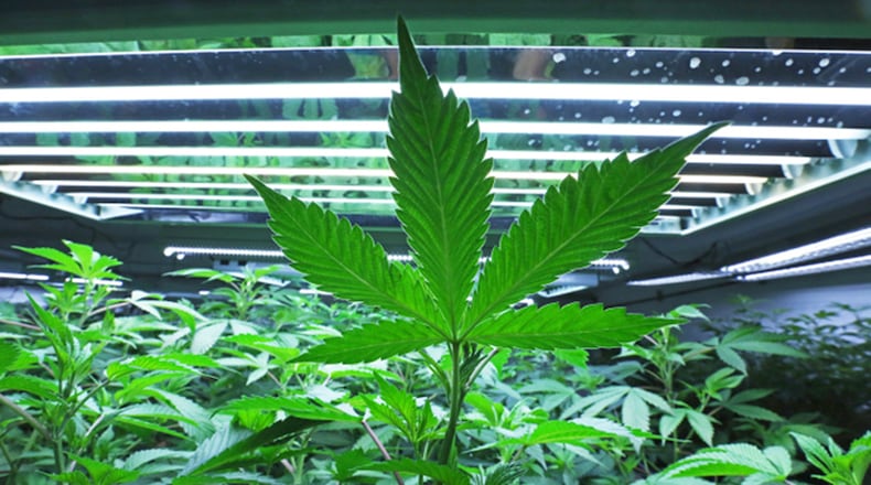 (Eric Engman/Fairbanks Daily News-Miner via AP, File)